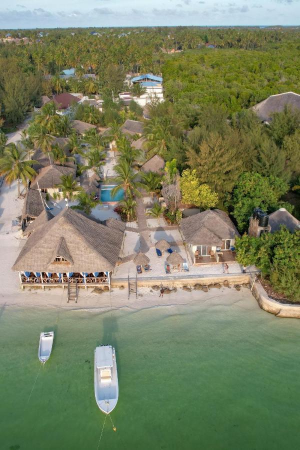 Horizon Of Michamvi Beach Zanzibar ภายนอก รูปภาพ